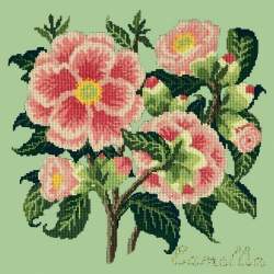 Elizabeth Bradley, Evergreens, CAMELLIA - 16x16 pollici Elizabeth Bradley - 9