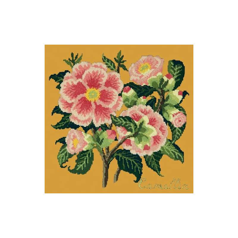 Elizabeth Bradley, Evergreens, CAMELLIA - 16x16 pollici Elizabeth Bradley - 13