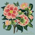 Elizabeth Bradley, Evergreens, CAMELLIA - 16x16 pollici Elizabeth Bradley - 14