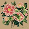 Elizabeth Bradley, Evergreens, CAMELLIA - 16x16 pollici Elizabeth Bradley - 17
