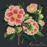 Elizabeth Bradley, Evergreens, CAMELLIA - 16x16 pollici Elizabeth Bradley - 18