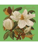 Elizabeth Bradley, Evergreens, MAGNOLIA - 16x16 pollici Elizabeth Bradley - 7