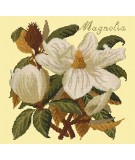 Elizabeth Bradley, Evergreens, MAGNOLIA - 16x16 pollici Elizabeth Bradley - 10