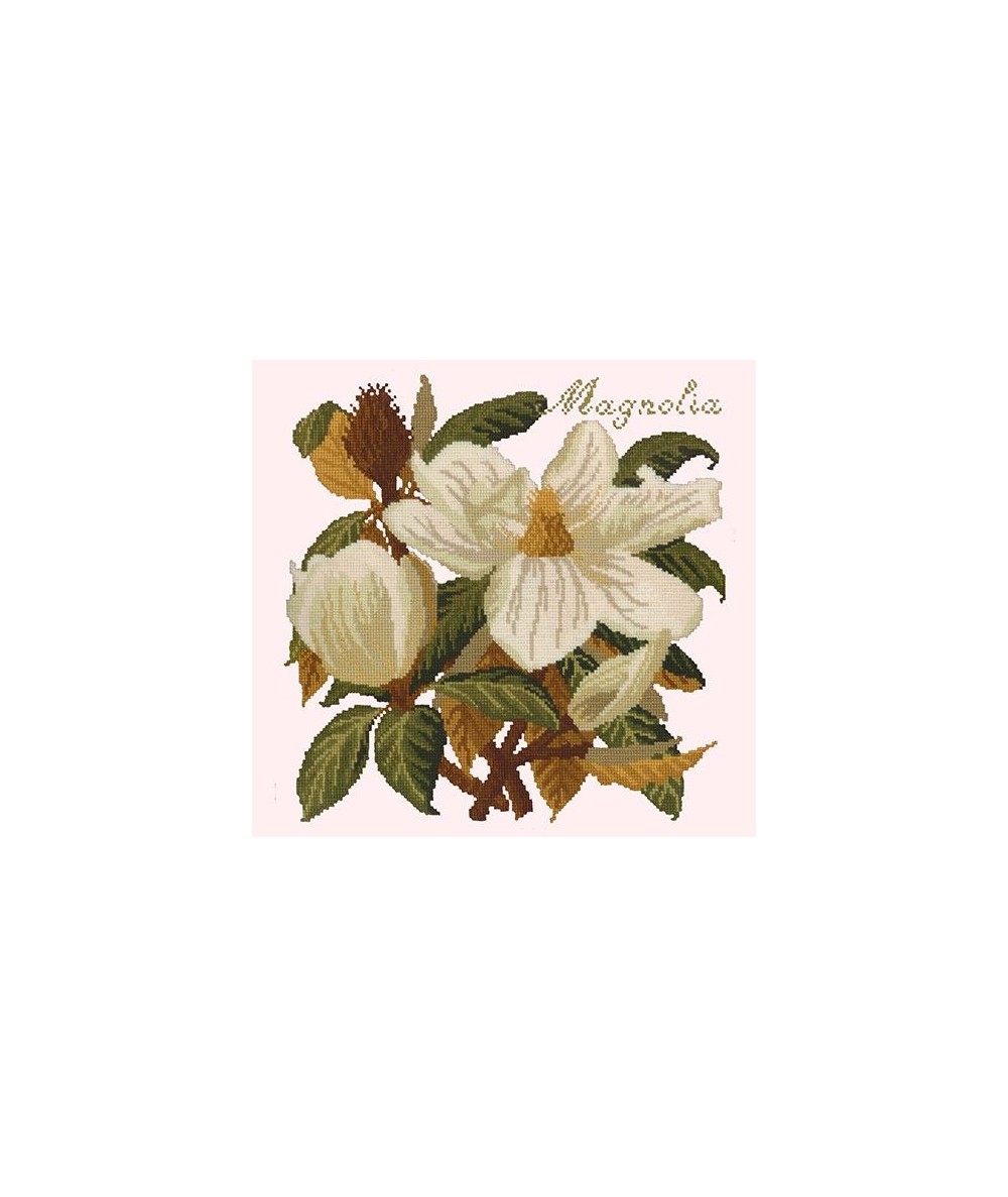 Elizabeth Bradley, Evergreens, MAGNOLIA - 16x16 pollici Elizabeth Bradley - 12