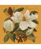 Elizabeth Bradley, Evergreens, MAGNOLIA - 16x16 pollici Elizabeth Bradley - 13