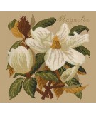 Elizabeth Bradley, Evergreens, MAGNOLIA - 16x16 pollici Elizabeth Bradley - 17