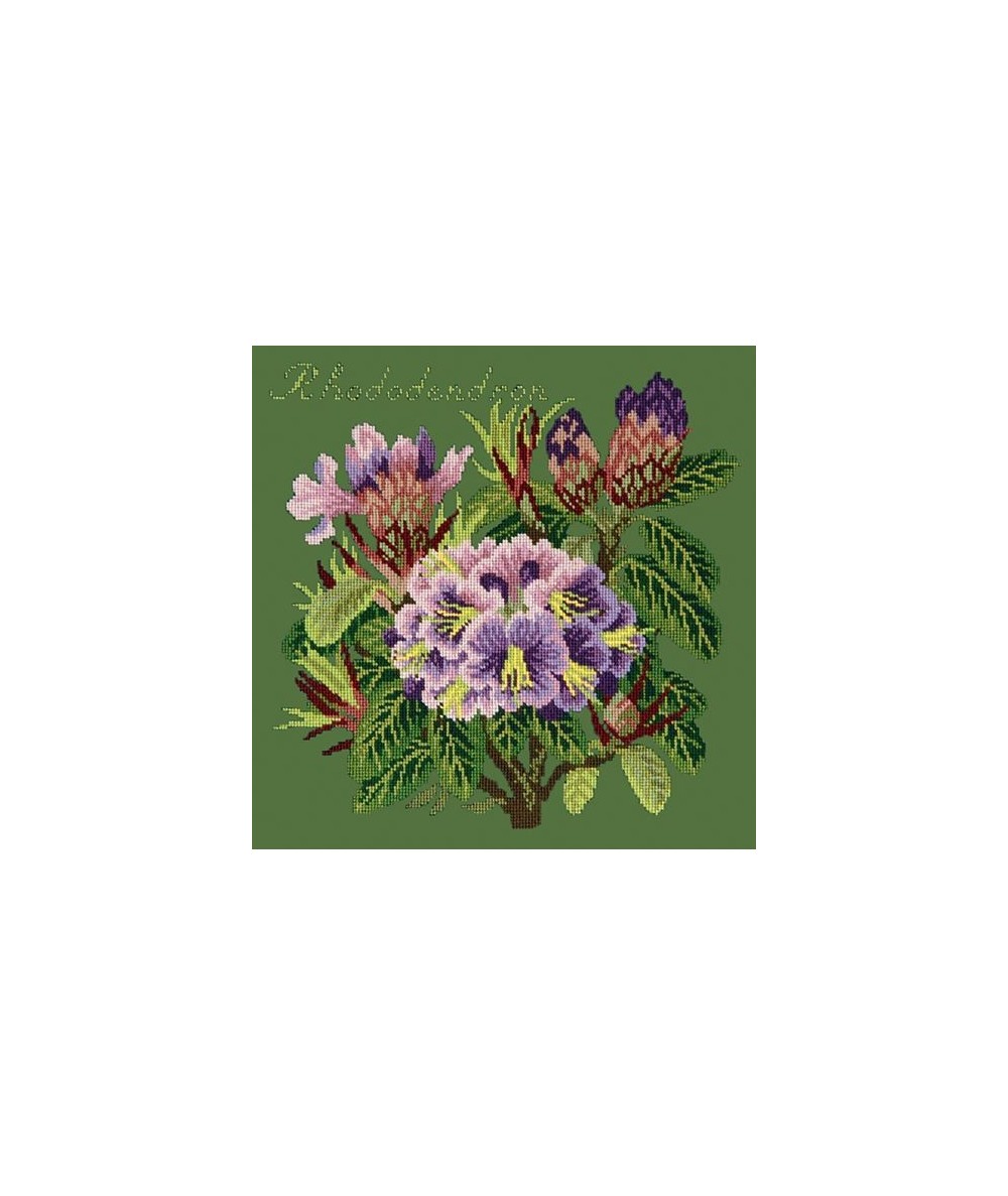 Elizabeth Bradley, Evergreens, RHODODENDRON - 16x16 pollici Elizabeth Bradley - 6