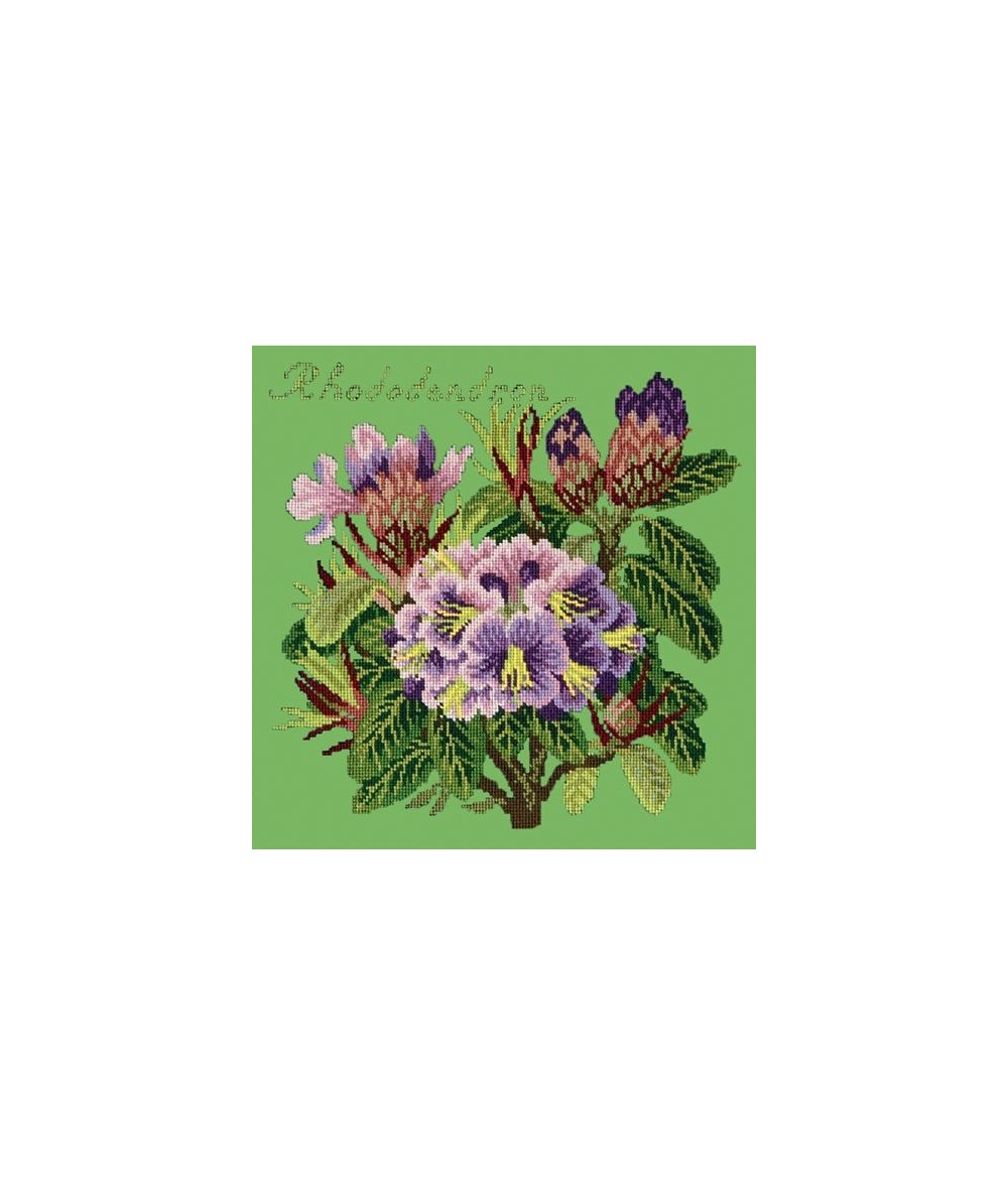 Elizabeth Bradley, Evergreens, RHODODENDRON - 16x16 pollici Elizabeth Bradley - 7