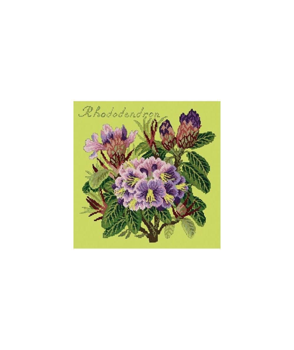 Elizabeth Bradley, Evergreens, RHODODENDRON - 16x16 pollici Elizabeth Bradley - 8