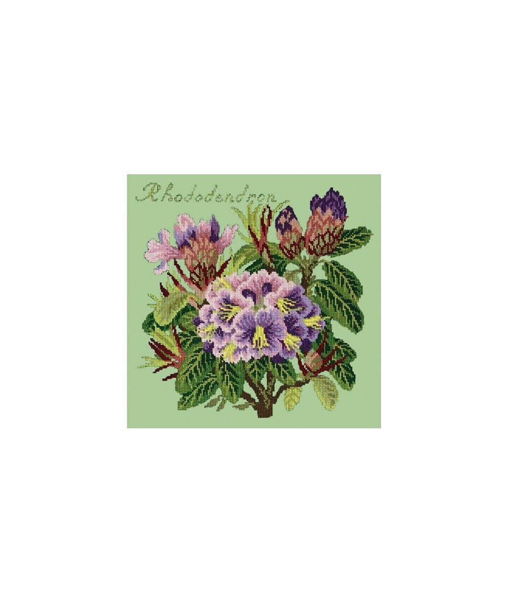 Elizabeth Bradley, Evergreens, RHODODENDRON - 16x16 pollici Elizabeth Bradley - 9