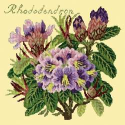 Elizabeth Bradley, Evergreens, RHODODENDRON - 16x16 pollici Elizabeth Bradley - 10