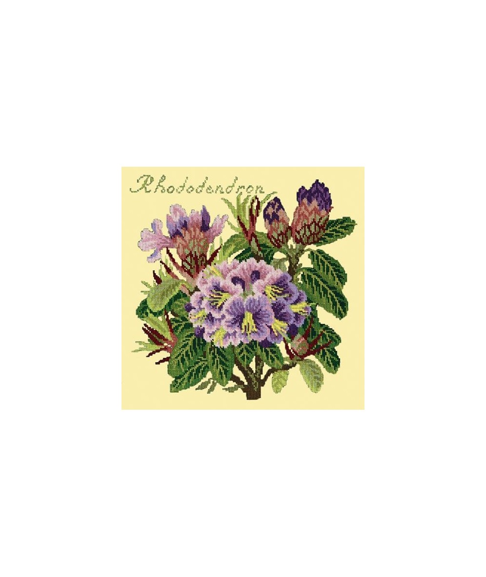 Elizabeth Bradley, Evergreens, RHODODENDRON - 16x16 pollici Elizabeth Bradley - 10