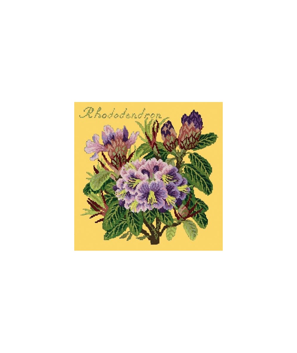 Elizabeth Bradley, Evergreens, RHODODENDRON - 16x16 pollici Elizabeth Bradley - 11