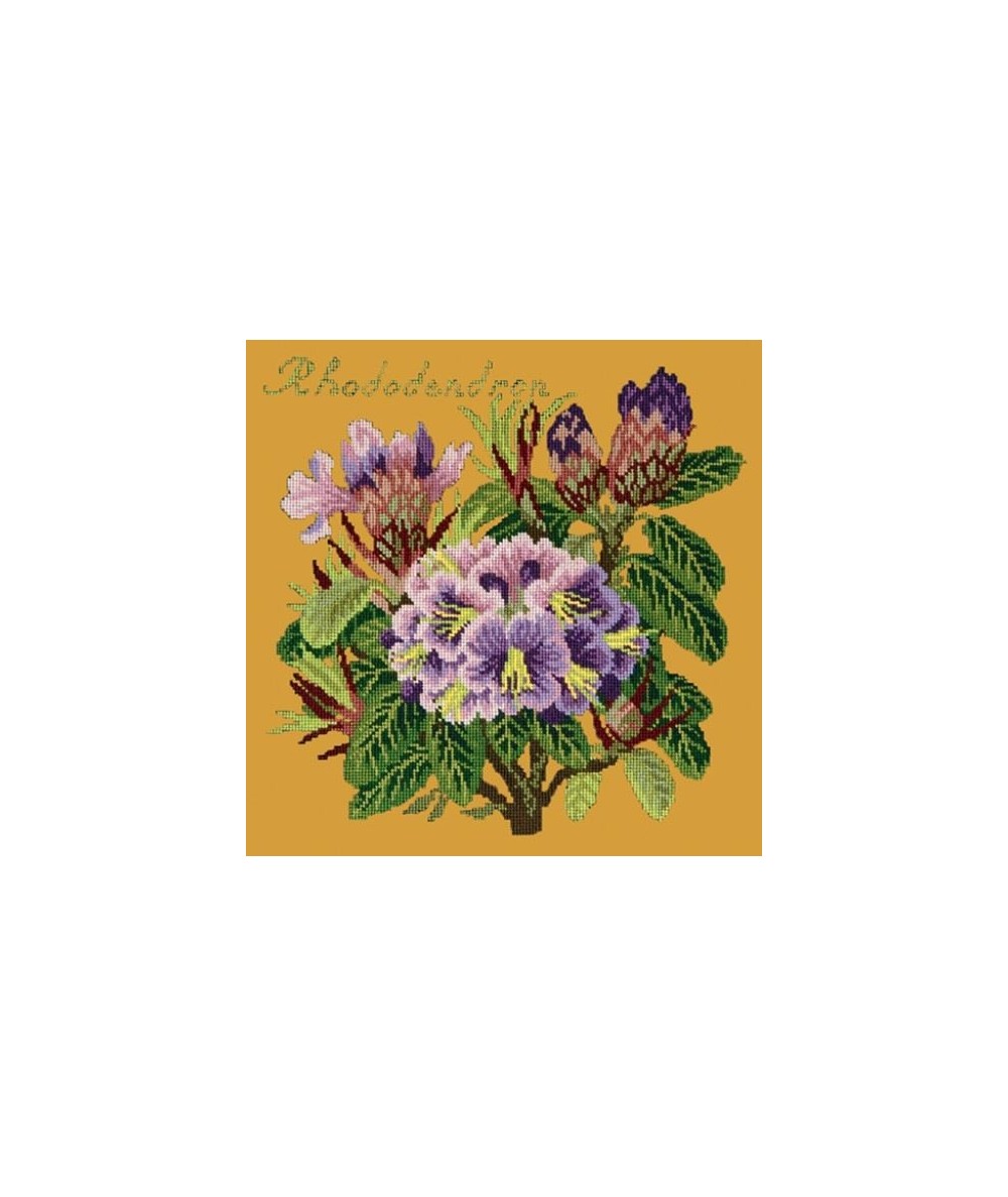 Elizabeth Bradley, Evergreens, RHODODENDRON - 16x16 pollici Elizabeth Bradley - 13
