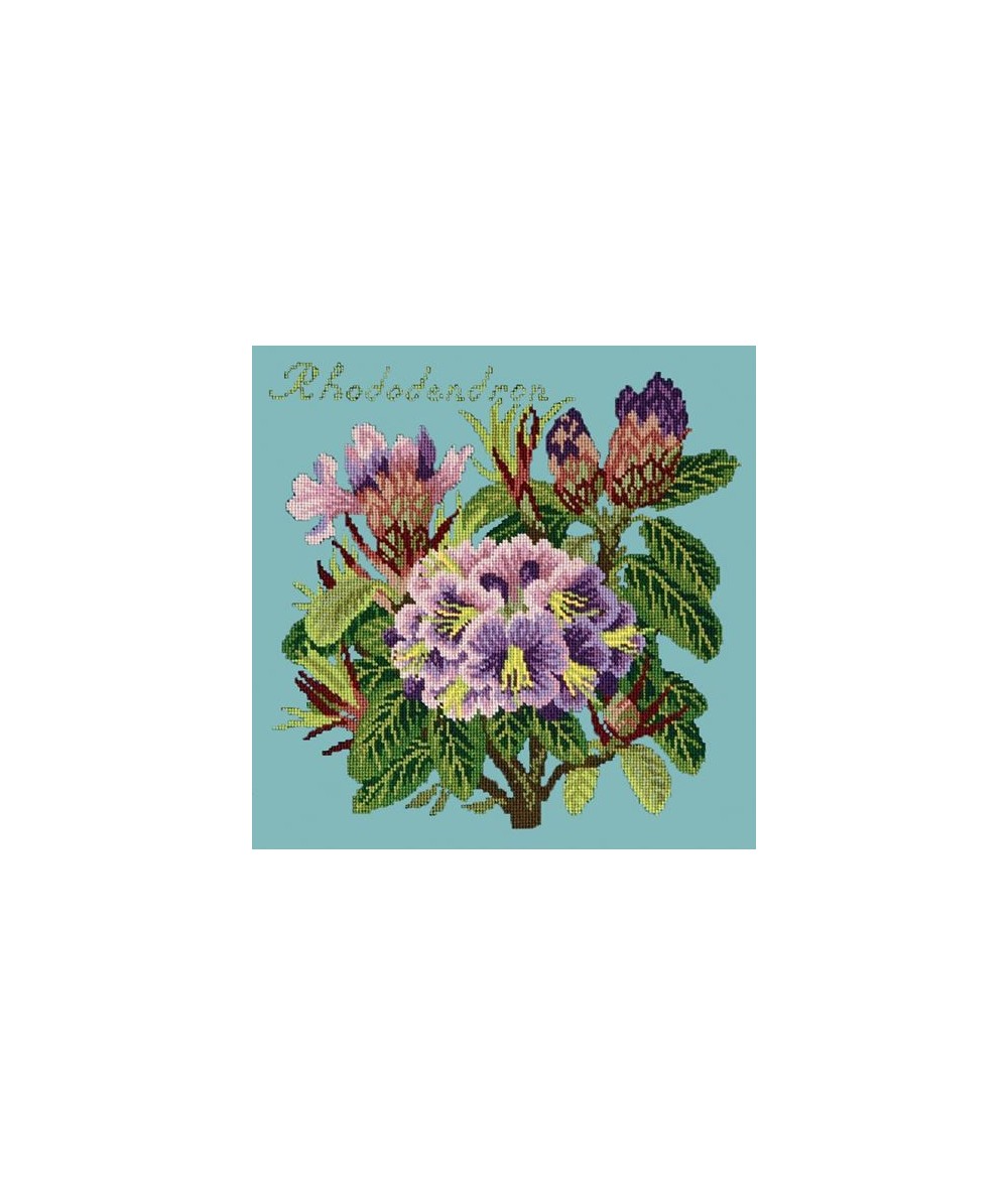 Elizabeth Bradley, Evergreens, RHODODENDRON - 16x16 pollici Elizabeth Bradley - 15