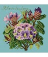 Elizabeth Bradley, Evergreens, RHODODENDRON - 16x16 pollici Elizabeth Bradley - 15