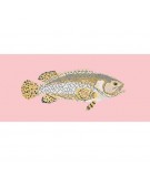 Elizabeth Bradley, The Fishes, BRINDLED GROUPER - 28x11 pollici Elizabeth Bradley - 2
