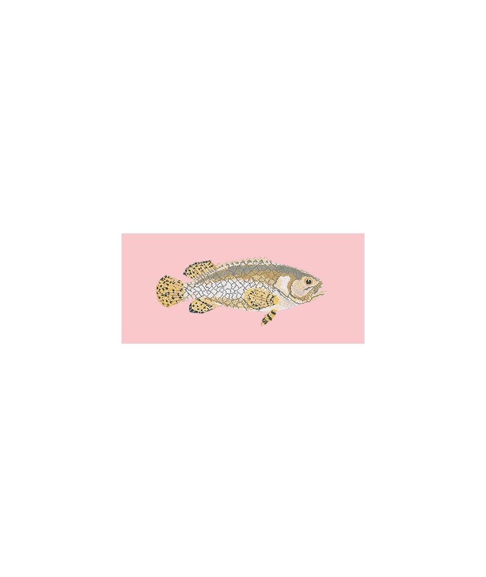 Elizabeth Bradley, The Fishes, BRINDLED GROUPER - 28x11 pollici Elizabeth Bradley - 2