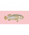Elizabeth Bradley, The Fishes, BRINDLED GROUPER - 28x11 pollici Elizabeth Bradley - 2