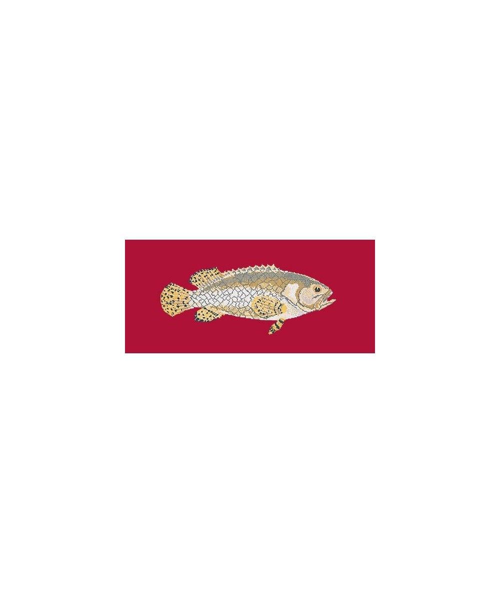 Elizabeth Bradley, The Fishes, BRINDLED GROUPER - 28x11 pollici Elizabeth Bradley - 4