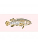 Elizabeth Bradley, The Fishes, BRINDLED GROUPER - 28x11 pollici Elizabeth Bradley - 12