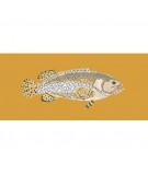 Elizabeth Bradley, The Fishes, BRINDLED GROUPER - 28x11 pollici Elizabeth Bradley - 13