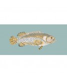 Elizabeth Bradley, The Fishes, BRINDLED GROUPER - 28x11 pollici Elizabeth Bradley - 14