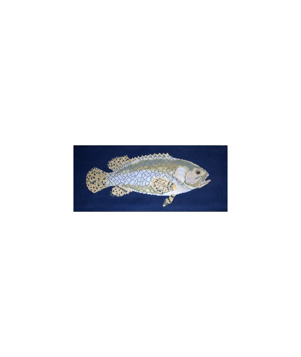 Elizabeth Bradley, The Fishes, BRINDLED GROUPER - 28x11 pollici Elizabeth Bradley - 16