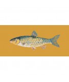 Elizabeth Bradley, The Fishes, FRESHWATER CHUB - 28x11 pollici Elizabeth Bradley - 13