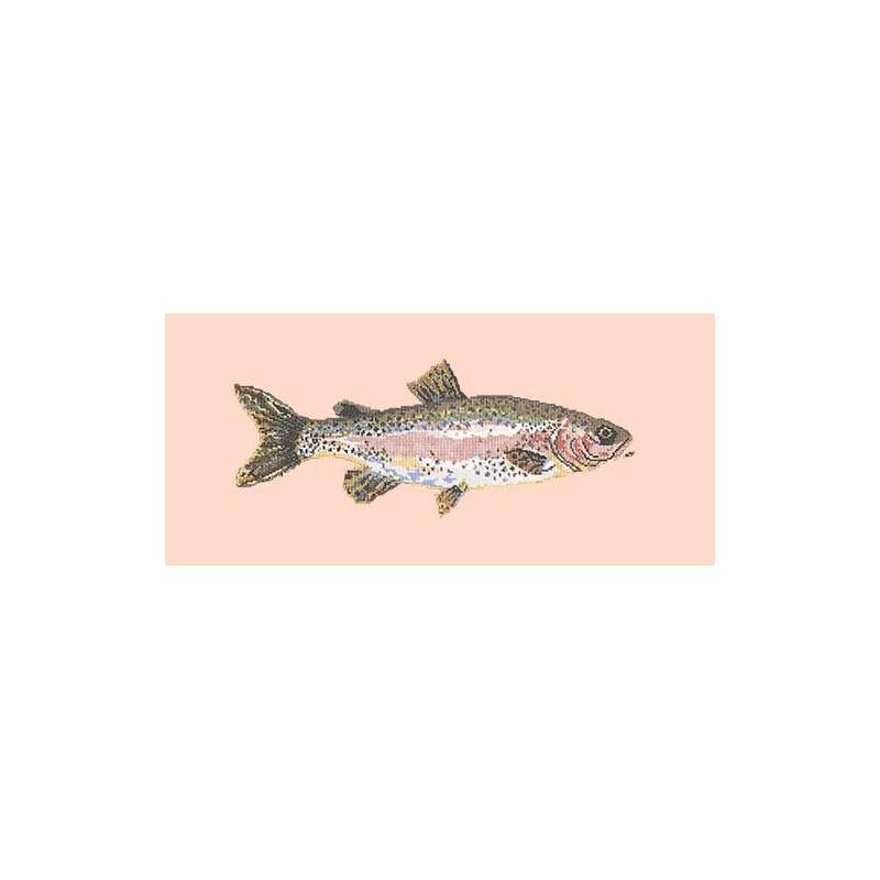 Elizabeth Bradley, The Fishes, RAIMBOW TROUT - 28x11 pollici Elizabeth Bradley - 3