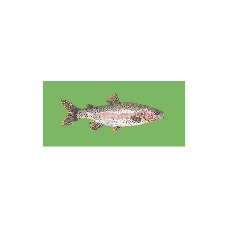 Elizabeth Bradley, The Fishes, RAIMBOW TROUT - 28x11 pollici Elizabeth Bradley - 7