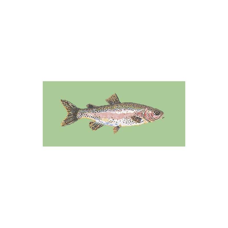 Elizabeth Bradley, The Fishes, RAIMBOW TROUT - 28x11 pollici Elizabeth Bradley - 9