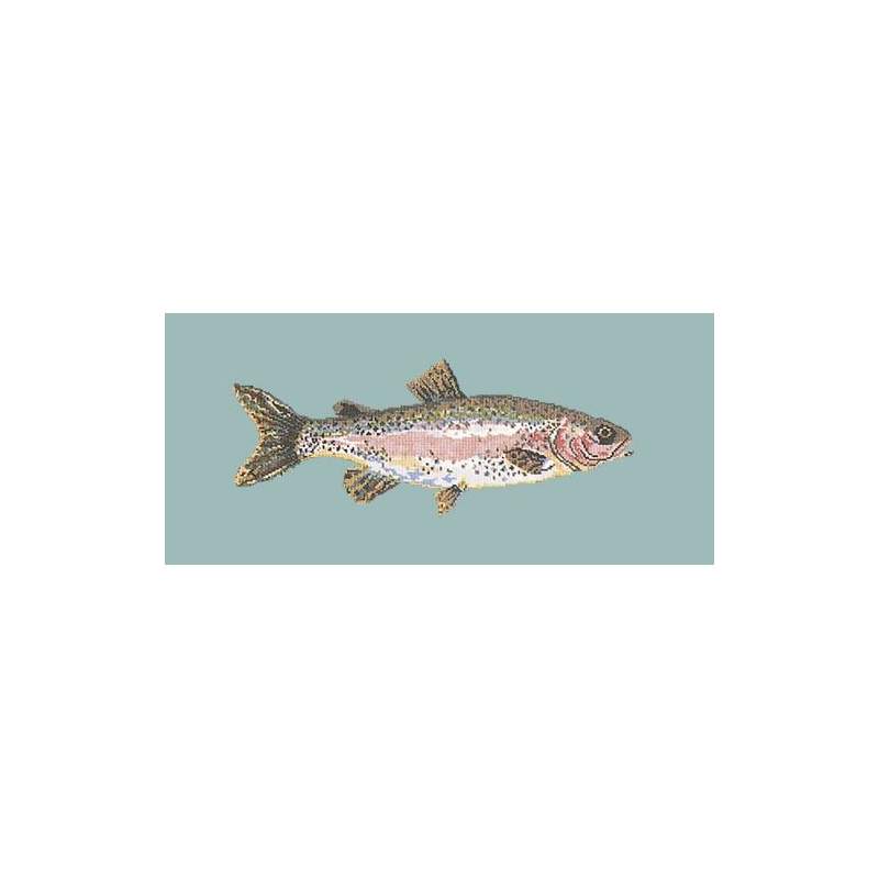 Elizabeth Bradley, The Fishes, RAIMBOW TROUT - 28x11 pollici Elizabeth Bradley - 14