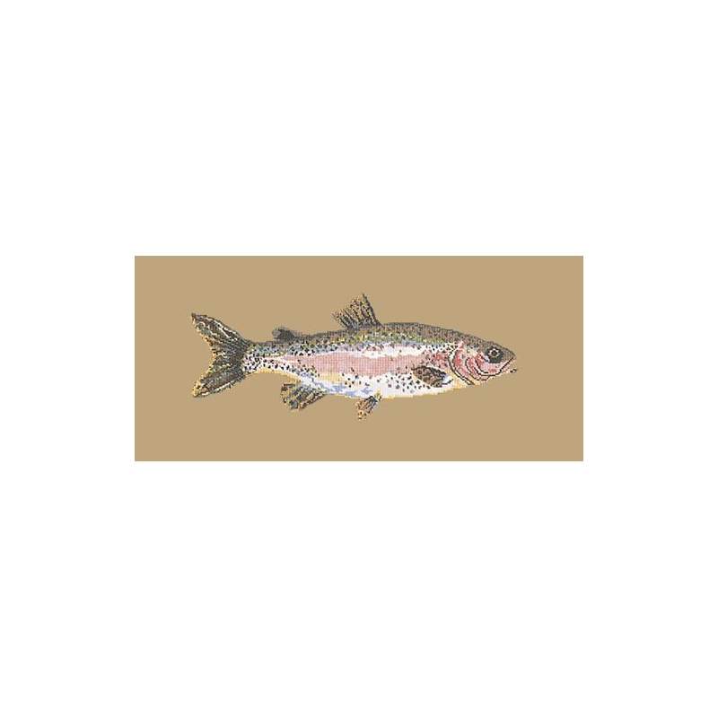 Elizabeth Bradley, The Fishes, RAIMBOW TROUT - 28x11 pollici Elizabeth Bradley - 17