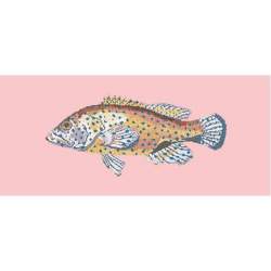 Elizabeth Bradley, The Fishes, VERMILION SEABASS - 28x11 pollici Elizabeth Bradley - 2