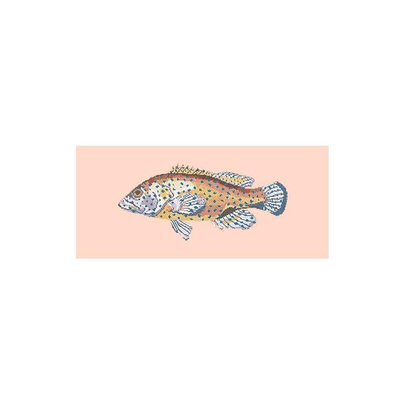 Elizabeth Bradley, The Fishes, VERMILION SEABASS - 28x11 pollici Elizabeth Bradley - 3