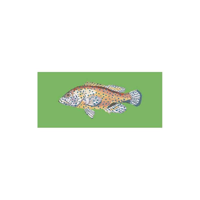 Elizabeth Bradley, The Fishes, VERMILION SEABASS - 28x11 pollici Elizabeth Bradley - 7