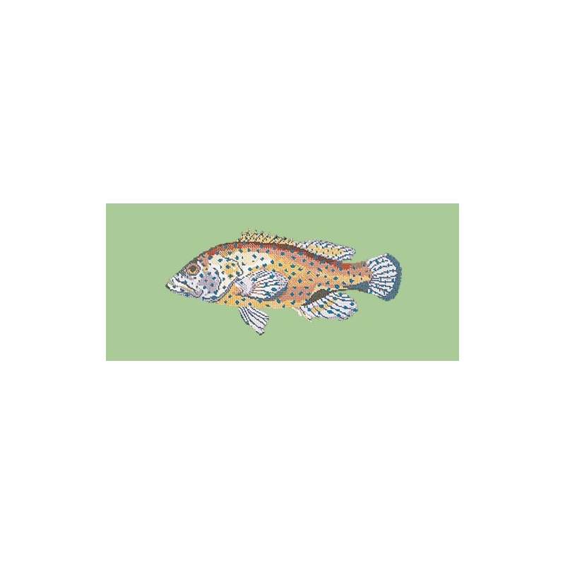 Elizabeth Bradley, The Fishes, VERMILION SEABASS - 28x11 pollici Elizabeth Bradley - 9