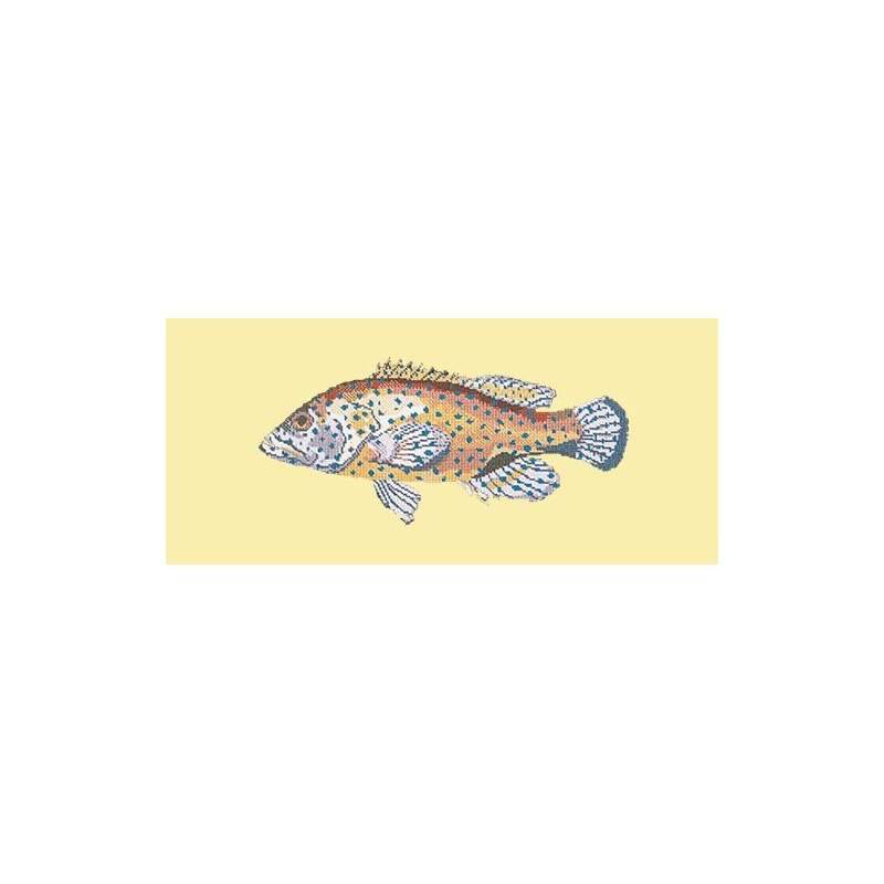 Elizabeth Bradley, The Fishes, VERMILION SEABASS - 28x11 pollici Elizabeth Bradley - 10
