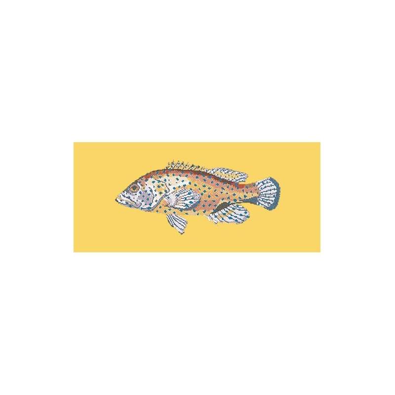 Elizabeth Bradley, The Fishes, VERMILION SEABASS - 28x11 pollici Elizabeth Bradley - 11