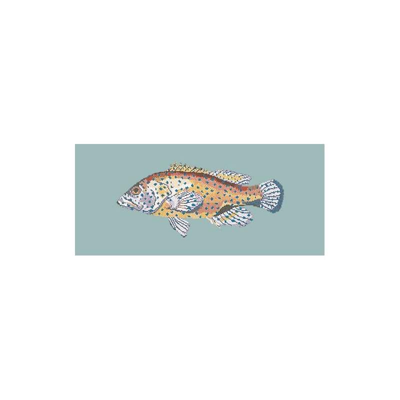 Elizabeth Bradley, The Fishes, VERMILION SEABASS - 28x11 pollici Elizabeth Bradley - 14