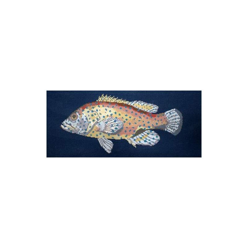 Elizabeth Bradley, The Fishes, VERMILION SEABASS - 28x11 pollici Elizabeth Bradley - 16