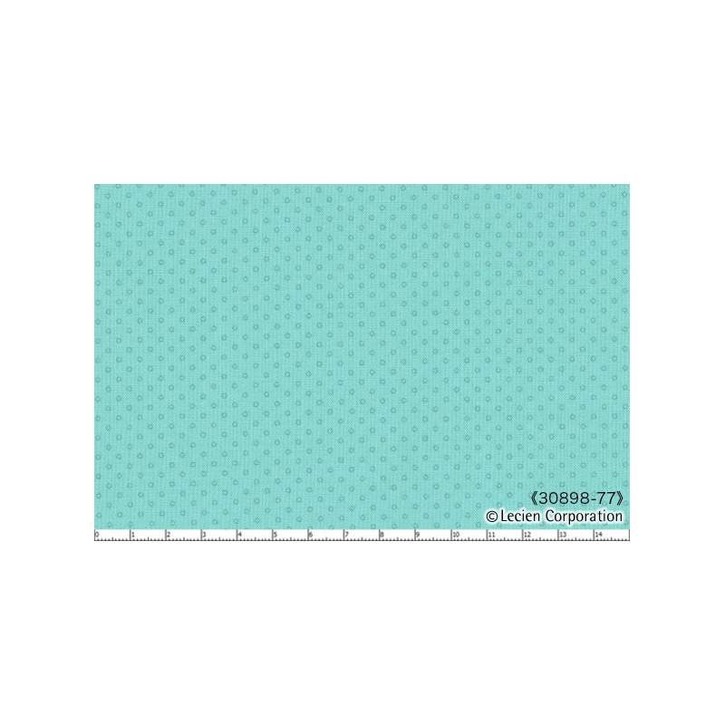 Lecien 30898-77 Lecien Corporation - 1