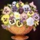 Elizabeth Bradley, Flower Pots, PANSY BOWL - 16x16 pollici Elizabeth Bradley - 18