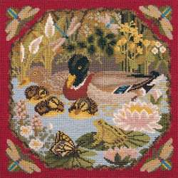 Elizabeth Bradley, Natural History, DUCK POND - 16x16 pollici Elizabeth Bradley - 4