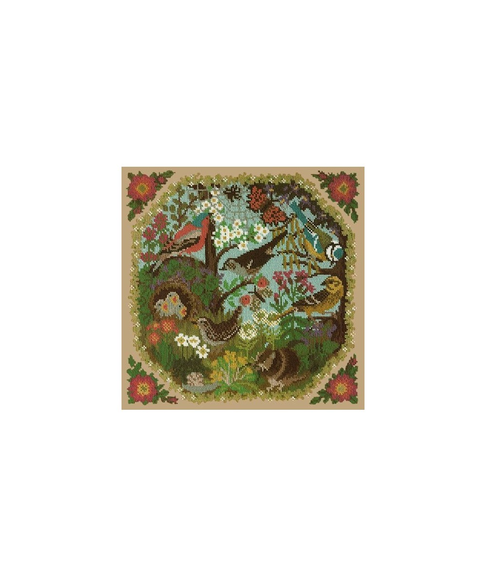 Elizabeth Bradley, Natural History, HEDGEROW - 16x16 pollici Elizabeth Bradley - 17