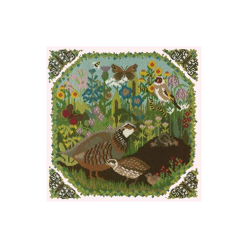 Elizabeth Bradley, Natural History, MEADOW - 16x16 pollici Elizabeth Bradley - 12