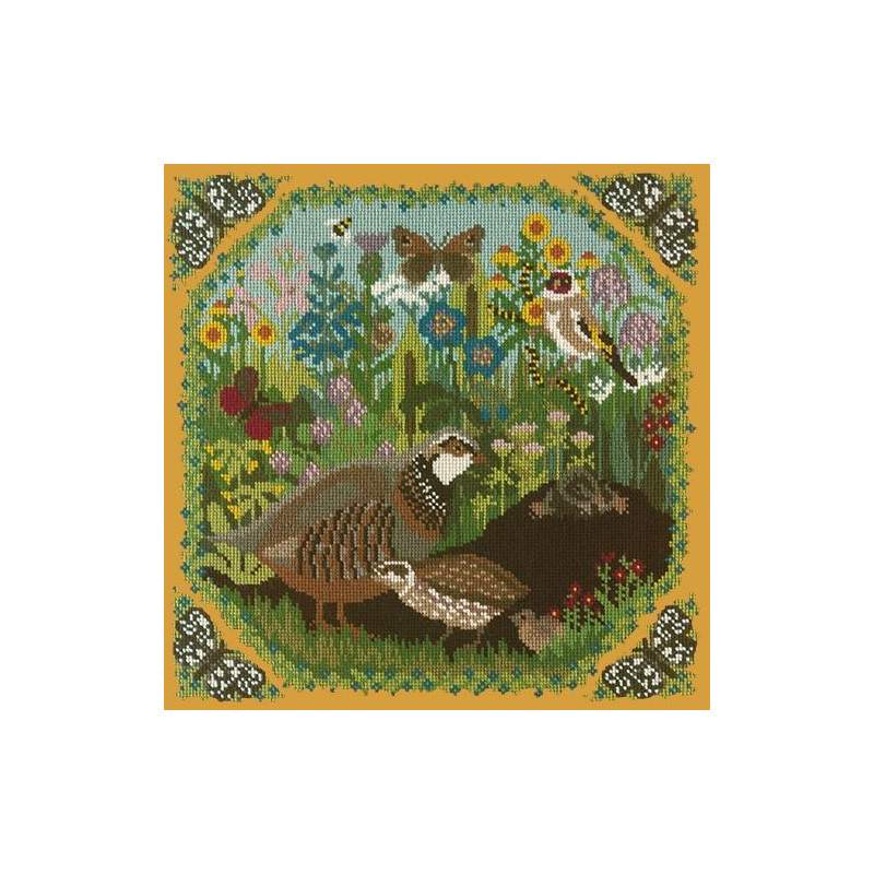 Elizabeth Bradley, Natural History, MEADOW - 16x16 pollici Elizabeth Bradley - 13