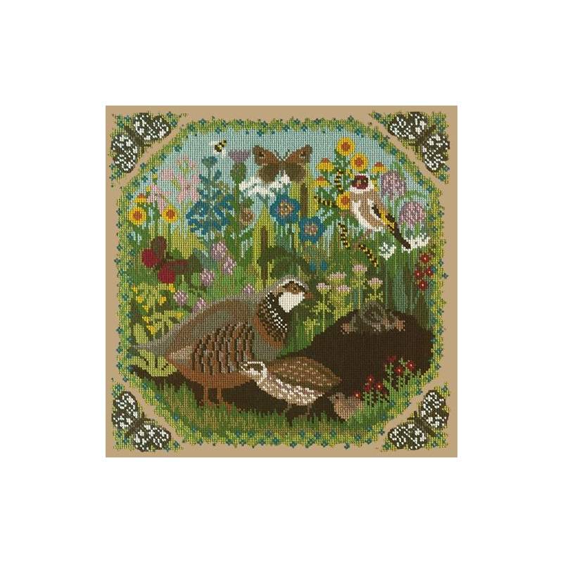 Elizabeth Bradley, Natural History, MEADOW - 16x16 pollici Elizabeth Bradley - 17