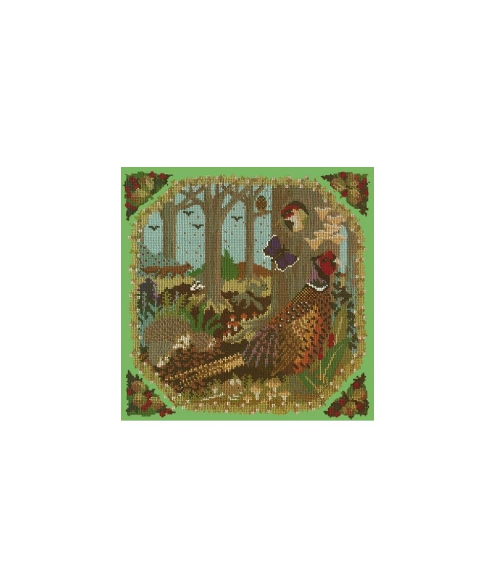 Elizabeth Bradley, Natural History, WOODLAND - 16x16 pollici Elizabeth Bradley - 7